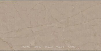 Фото Almera Ceramica плитка Nefrit Lekko Rect 60x120