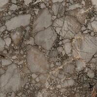 Фото Florim плитка Nature Mood Riverbed Glossy 120x120