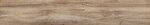 Фото Allore Ceramica плитка Canyon Beige Mat 20x120