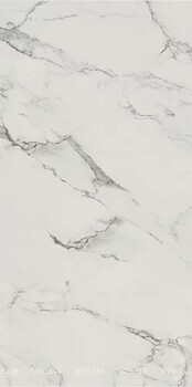 Фото Ceramika Paradyz плитка Carrastone White Szkl Rekt Mat 59.8x119.8