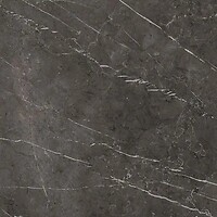 Фото Porcelanosa плитка Savage Dark Nature 120x120