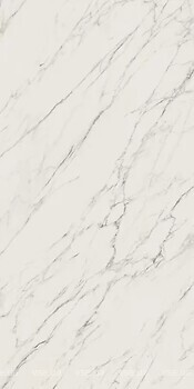 Фото Ceramika Paradyz плитка Elite White Rekt Mat 59.8x119.8