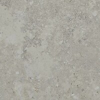 Фото Ceramika Paradyz плитка Freedust Grey Szkl Rekt Mat 59.8x59.8