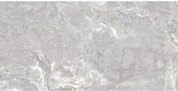 Фото TEO плитка Snake Stone Silver F PC Sugar Rec 60x120