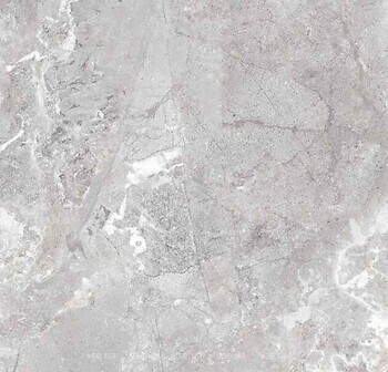 Фото TEO плитка Snake Stone Silver F PC Sugar Rec 60x60