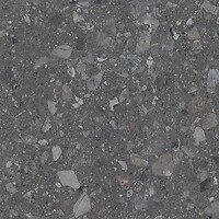 Фото TEO плитка Terra Anthracite F PC Sugar Rec 60x60