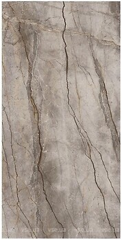 Фото Marazzi плитка Grande Stone Look Silver Root Naturale Rett 60x120 (MP49)