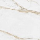 Фото Atrium плитка Portofino Gold Brillo 60x60
