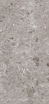 Фото Grespania плитка Artic 12 mm Gris Natural 162x324