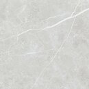Фото TAU Ceramica плитка Elite Silver Matt Rec 60x60