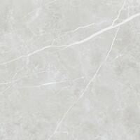 Фото TAU Ceramica плитка Elite Silver Matt Rec 60x60