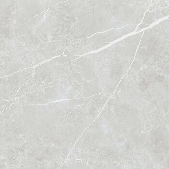 Фото TAU Ceramica плитка Elite Silver Matt Rec 60x60