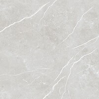 Фото TAU Ceramica плитка Elite Silver Pul Rec 60x60