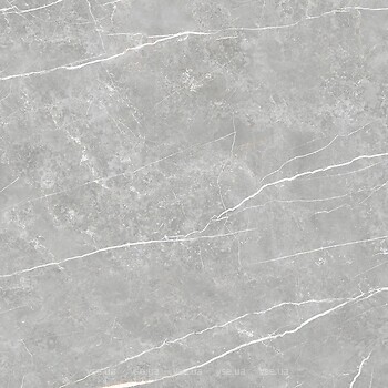 Фото TAU Ceramica плитка Elite Gray Matt 60x60