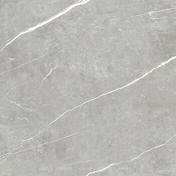 Фото TAU Ceramica плитка Elite Gray Pul 60x60