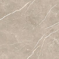 Фото TAU Ceramica плитка Elite Greige Matt 60x60