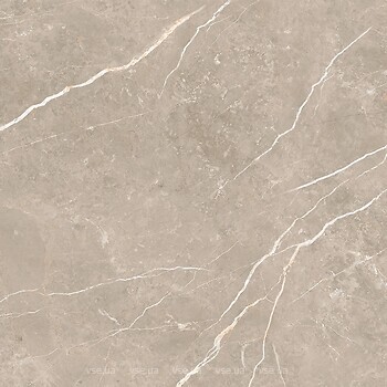 Фото TAU Ceramica плитка Elite Greige Matt 60x60