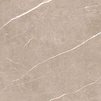 Фото TAU Ceramica плитка Elite Greige Pul 60x60