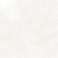 Фото Ecoceramic плитка Puccini Blanco Mat 60x60