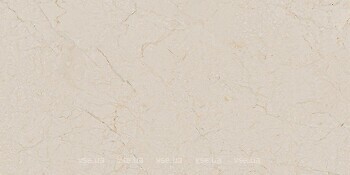 Фото Arcana плитка Black&Cream Cream-R Dune 60x120