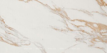 Фото FAP плитка настенная Roma Gold Calacatta Oro Brillante 50x120