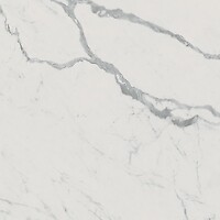 Фото FAP плитка Roma Gold Carrara Superiore Brillante 120x120