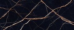 Фото Provenza Ceramiche плитка Unique Marble Decoro Marmo Sahara Noir Full Lappato Rett 120x278