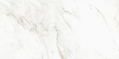 Фото Asia Pacific плитка напольная Calcatta Castellon Polished 60x120