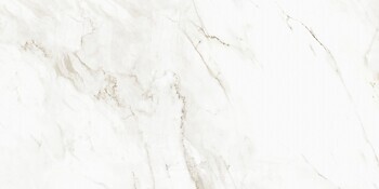 Фото Asia Pacific плитка напольная Calcatta Castellon Polished 60x120
