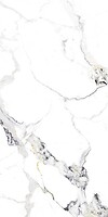 Фото Asia Pacific плитка напольная Dragon Natural Polished 60x120