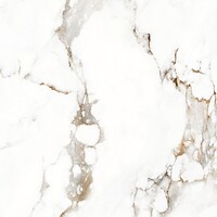 Фото Asia Pacific плитка напольная Golden Waves Polished 60x60