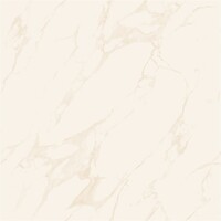 Фото Asia Pacific плитка напольная Marble Soluble Salt 60x60