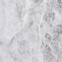 Фото Asia Pacific плитка напольная Picasso Silver Polished 60x60