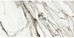Фото ITT Ceramic плитка Calacatta Paonazzo Satin 60x120