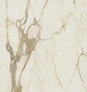 Фото Ceramika Paradyz плитка Warm Wind Gold Rekt Mat 119.8x119.8