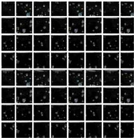 Фото Mozaico De Lux мозаика T-MOS BG702-B (BG02) (L) SPARCLE BLACK 30x30