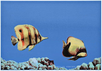 Фото Атем декор Monocolor Fish 2 27.5x40 (07735)