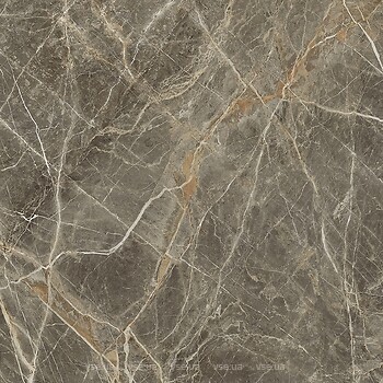 Фото Golden Tile плитка напольная Stone Roots коричневый 60x60 (SOН500)