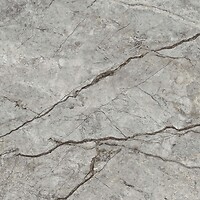 Фото Golden Tile плитка напольная Carisma серый 60x60 (CM2580)