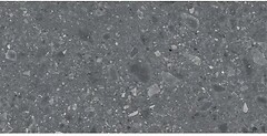 Фото Ragno ceramica плитка Realstone Ceppo Antracite Rett 60x120 (Rcww)