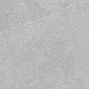 Фото Golden Tile плитка напольная Terragres Essential серый 60x60 (ES2583)