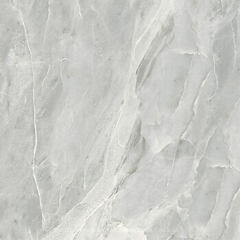Фото Golden Tile плитка напольная Silver Roots серый 60x60 (S92590)