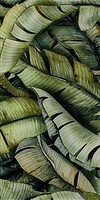 Фото Ceramika Paradyz декор Unieersalne Natura Inserto Szklane Leaf B 30x60