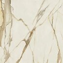 Фото Ceramika Paradyz плитка Warm Wind Gold Poler 119.8x119.8