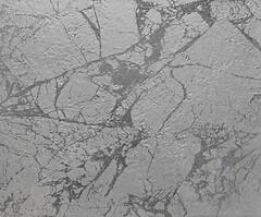 Фото Apavisa плитка Riverwash Silver Natural 50x100