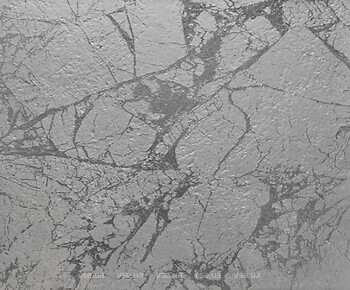 Фото Apavisa плитка Riverwash Silver Natural 50x100