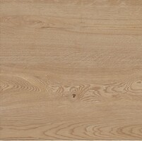 Фото TEO плитка Rio Ivory Mat F PCR 60x60 (WLC20F66610A)