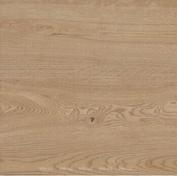 Фото TEO плитка Rio Ivory Mat F PCR 60x60 (WLC20F66610A)