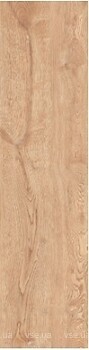 Фото TEO плитка Rio Ivory Mat F PCR 15x90 (WLC20F41910A)