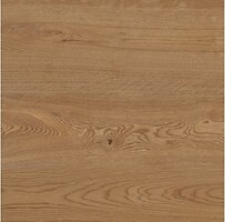 Фото TEO плитка Rio Honey Mat F PCR 60x60 (WLC44F66610A)